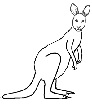 Draw a kangaroo 6