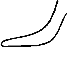 Draw a kangaroo -tail