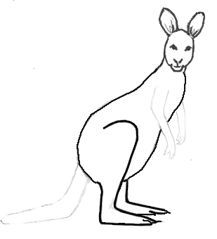 Draw a kangaroo 4