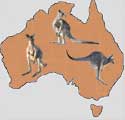 Kids4kangaroos page